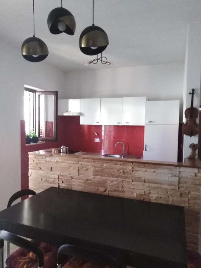 Apartman Irena With Terase End Private Parking Donji Okrug  エクステリア 写真